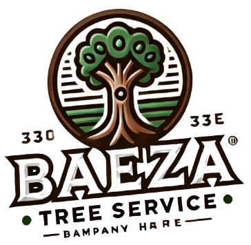 abaezatreeservice.com